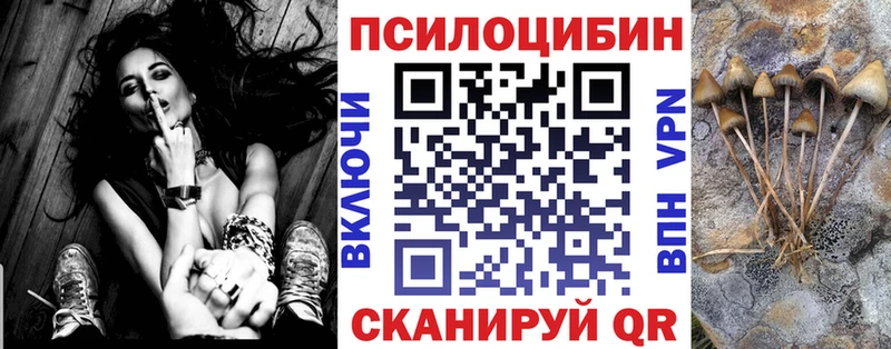 Галлюциногенные грибы Psilocybine cubensis  Гаджиево 